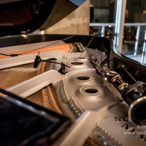 DPA 4099 Piano microfoons